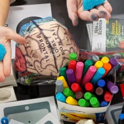 Retour sur la Fête de la Science 2025